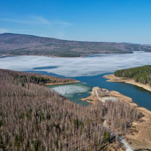 Preview wallpaper lake, ice, coast, trees, forest