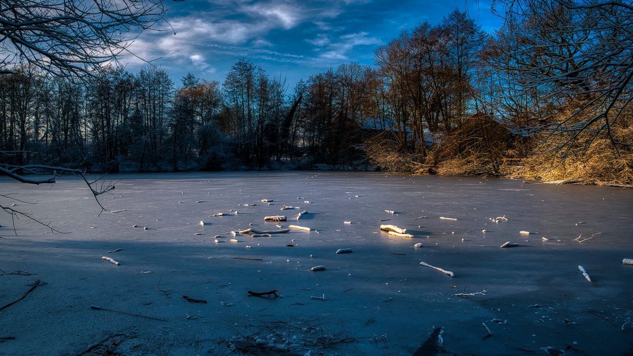 Wallpaper lake, ice, winter, forest, trees, nature