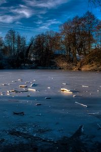 Preview wallpaper lake, ice, winter, forest, trees, nature