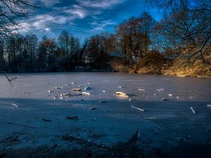 Preview wallpaper lake, ice, winter, forest, trees, nature