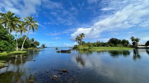 Preview wallpaper lake, island, palm trees, nature