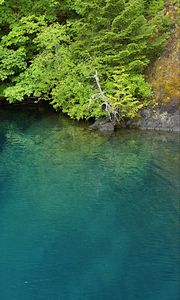 Preview wallpaper lake, lagoon, trees, landscape