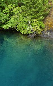 Preview wallpaper lake, lagoon, trees, landscape