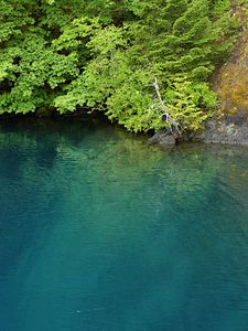 Preview wallpaper lake, lagoon, trees, landscape