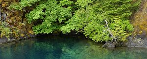 Preview wallpaper lake, lagoon, trees, landscape