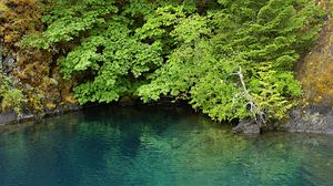 Preview wallpaper lake, lagoon, trees, landscape