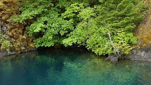 Preview wallpaper lake, lagoon, trees, landscape