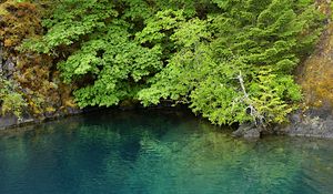 Preview wallpaper lake, lagoon, trees, landscape