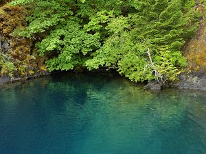 Preview wallpaper lake, lagoon, trees, landscape