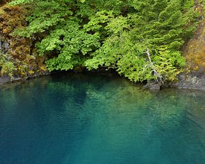 Preview wallpaper lake, lagoon, trees, landscape