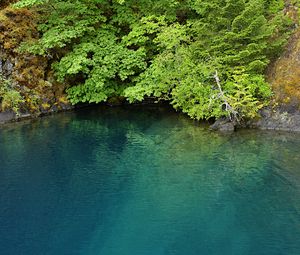 Preview wallpaper lake, lagoon, trees, landscape