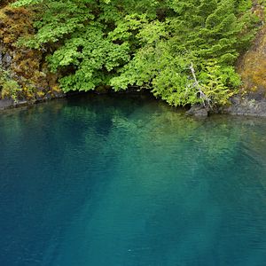 Preview wallpaper lake, lagoon, trees, landscape