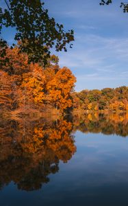 Preview wallpaper lake, landscape, autumn, trees, reflection