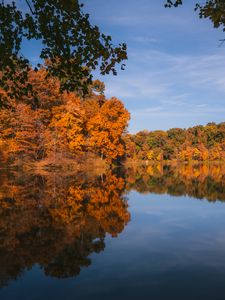 Preview wallpaper lake, landscape, autumn, trees, reflection