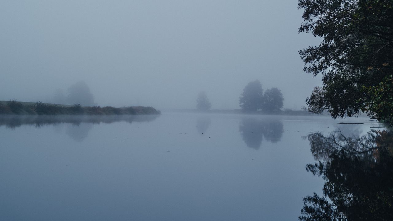 Wallpaper lake, landscape, fog, trees, nature