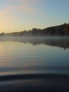 Preview wallpaper lake, landscape, forest, sky, silence