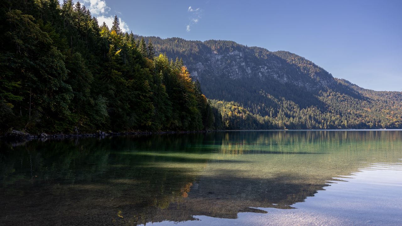 Wallpaper lake, landscape, nature, trees