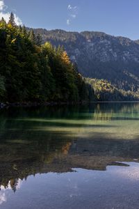 Preview wallpaper lake, landscape, nature, trees