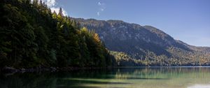 Preview wallpaper lake, landscape, nature, trees