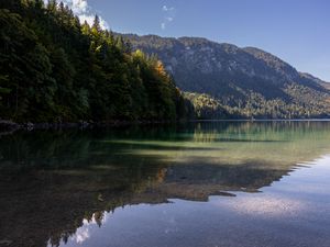 Preview wallpaper lake, landscape, nature, trees