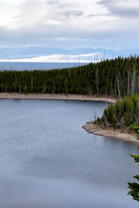 Preview wallpaper lake, landscape, trees, forest, shore