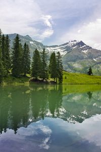Preview wallpaper lake, landscape, trees, mountains, reflection
