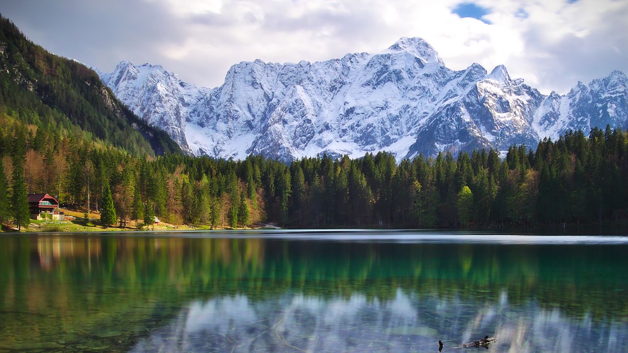 Wallpaper lake, log, forest, trees, mountains, landscape