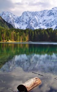 Preview wallpaper lake, log, forest, trees, mountains, landscape