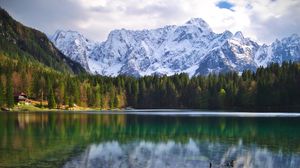 Preview wallpaper lake, log, forest, trees, mountains, landscape