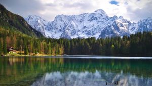 Preview wallpaper lake, log, forest, trees, mountains, landscape