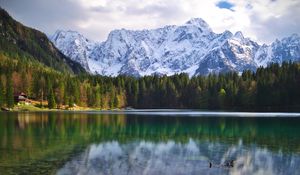 Preview wallpaper lake, log, forest, trees, mountains, landscape