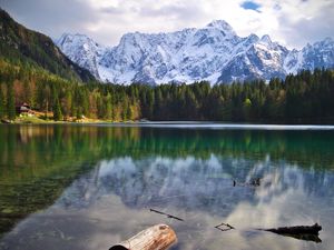 Preview wallpaper lake, log, forest, trees, mountains, landscape