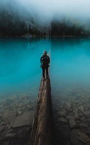 Preview wallpaper lake, log, human, water, nature