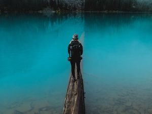 Preview wallpaper lake, log, human, water, nature