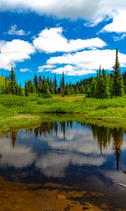 Preview wallpaper lake, meadow, trees, grass, landscape