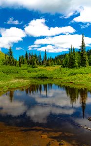 Preview wallpaper lake, meadow, trees, grass, landscape