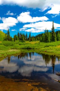 Preview wallpaper lake, meadow, trees, grass, landscape