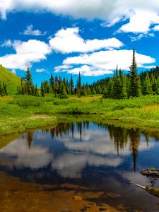 Preview wallpaper lake, meadow, trees, grass, landscape