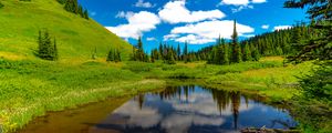 Preview wallpaper lake, meadow, trees, grass, landscape