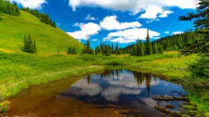 Preview wallpaper lake, meadow, trees, grass, landscape