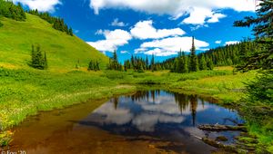 Preview wallpaper lake, meadow, trees, grass, landscape