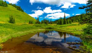 Preview wallpaper lake, meadow, trees, grass, landscape