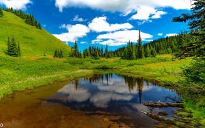 Preview wallpaper lake, meadow, trees, grass, landscape