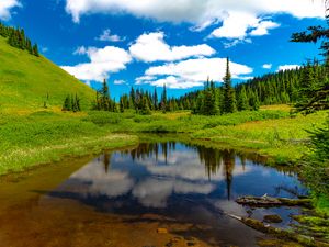 Preview wallpaper lake, meadow, trees, grass, landscape