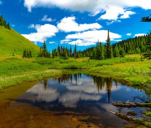 Preview wallpaper lake, meadow, trees, grass, landscape