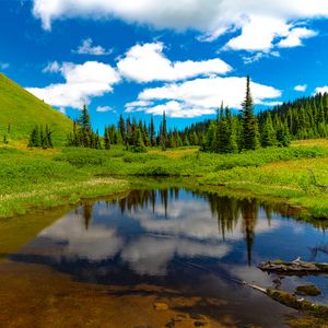 Preview wallpaper lake, meadow, trees, grass, landscape