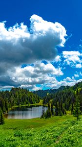 Preview wallpaper lake, meadow, trees, forest, landscape