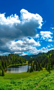 Preview wallpaper lake, meadow, trees, forest, landscape