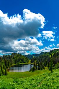 Preview wallpaper lake, meadow, trees, forest, landscape