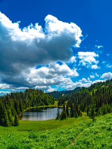 Preview wallpaper lake, meadow, trees, forest, landscape
